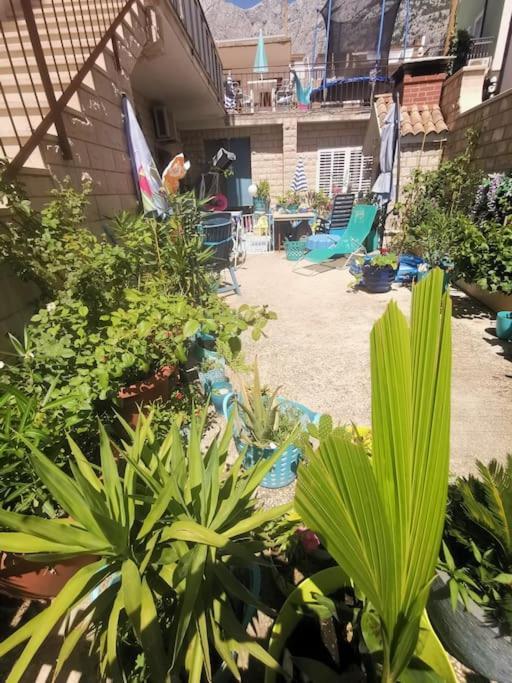 Makarska Blue Oasis Apartman 2-6 Exterior photo